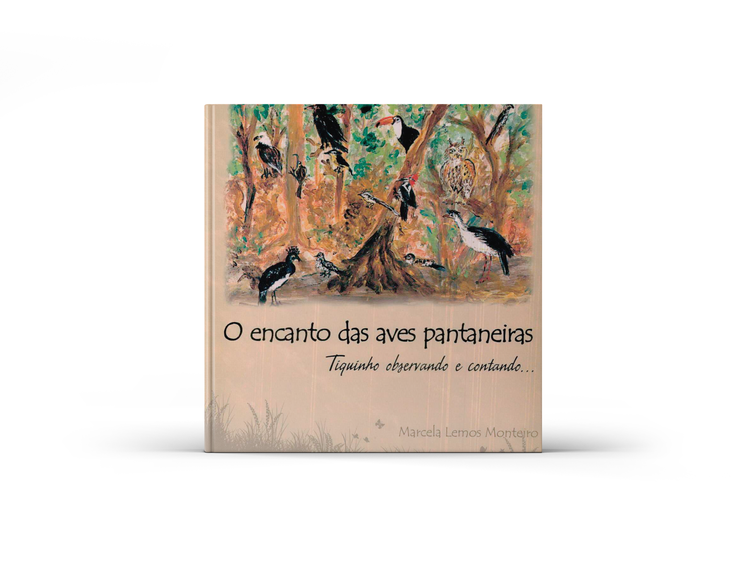 Capa de O encanto das aves pantaneiras: Tiquinho observando e contando…